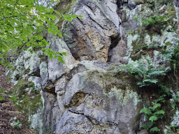 Pastýřská stěna