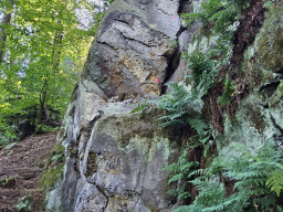 Pastýřská stěna