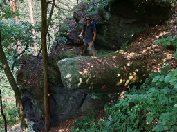 Pastýřská stěna